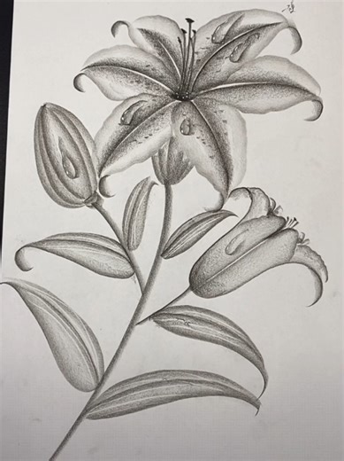 How to Draw with a Pencil: Step-by-Step Guide