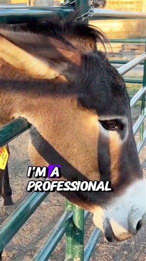 Silly Rosa Shows Off Her REAL Job 😂