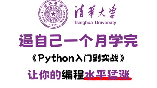 【全600集】清华大佬终于把Python全套教程讲完了，2025年最新版，从零基础入门到实战项目 应有尽有，这套教程能让你少走99%的弯路，学完即可上岗！！！