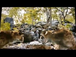 Walking with beasts sabertooth part 11/the final battle