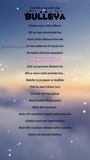 Bulleya |Full song lyrics | Sultan| Salman Khan, Anushka Sharma| papon|Vishal & Shekhar|Irshad Kamil