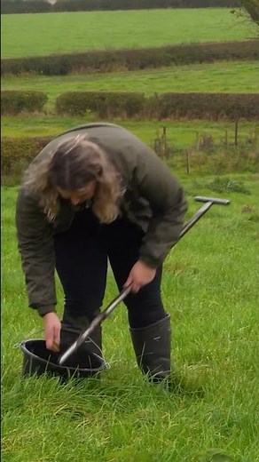 Soil Sampling