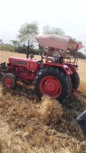 रैपर से हो रही कटाई गेहूं की#farming #repper#viral #gehun#katai#sankesh Patel block#trending