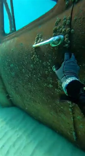 #scubadiving #underwater #fypシ #povscare #underwaterhorror