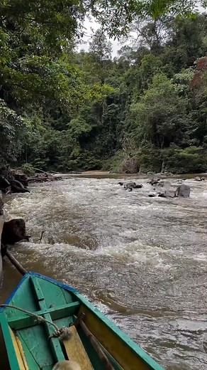 2.6K views · 217 reactions | The Sarawak government has been talking...