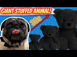 Cute Pugs Play With Stuffed Dog Toys, But They Get BIGGER Every 30 Seconds!