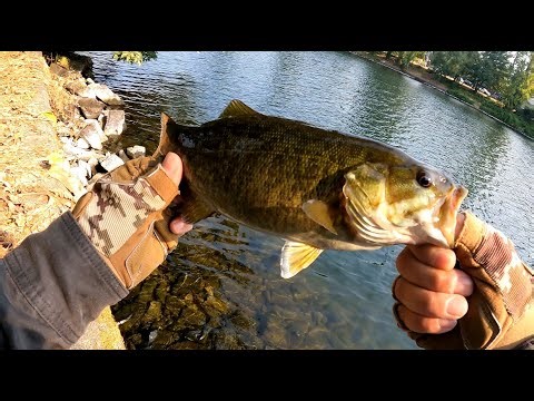 Urban Bass Fishing in Seattle - The Fremont Cut
