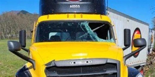 Turkey smashes through semi windshield, injures trucker on I-5 near Medford