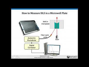 Measuring Size, Stability and Conformation of Biopolymers with Dynamic Light Scattering
