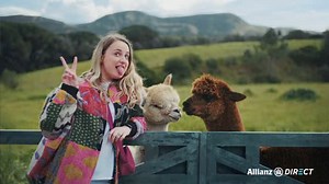 alfred on Instagram: "In onze nieuwste campagne voor @allianzdirectnl stelen twee cuter dan cute Alpaca’s, de show. Die zijn zó Insta-waardig dat een stel vakantiegangers er iets te argeloos voor uit hun auto springt…"