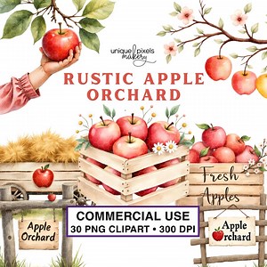 Apple Picking Orchard Harvest PNG Clipart | Watercolor Apples, Trees, Harvest, Pies, Cider Stand | Rustic Autumn Farm & Thanksgiving Decor - Etsy