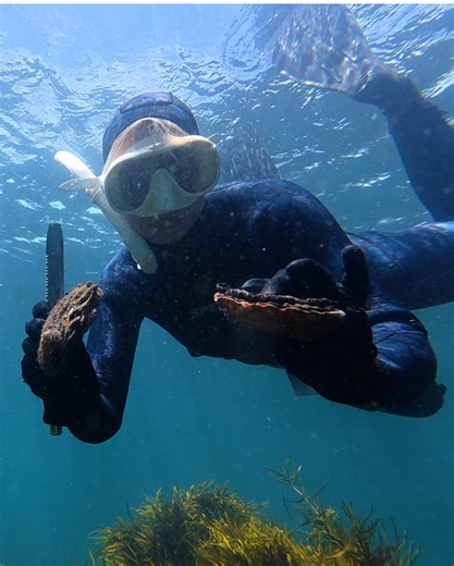 Exploring the Taste of Abalone in Tasmania