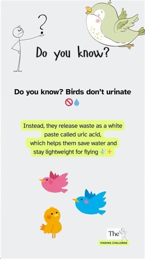 Do You Know? Birds Don’t Pee 🚫💧 #doyouknow #facts #thefindingchallenge