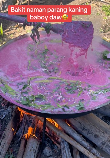 Burong Kanin at Isda: Paano Lumikha ng Paborito