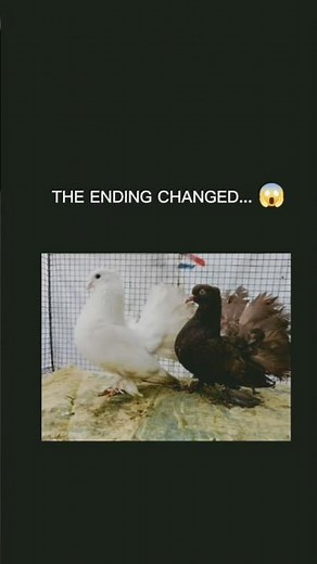 THE ENDING CHANGED... 😱 #pgatour 🕊️⚡💥
