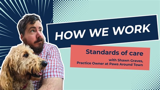 How we work | Standards of care, with Shawn Graves