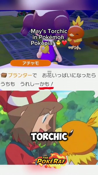 May's Torchic Makes an Appearance in Pokémon Pokopia