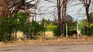 Video of a bull on the loose in Chubbuck earlier today. For the full story click here: https://www.idahostatejournal.com/news/local/escaped-bull-forces-street-closure-in-chubbuck/article_49940c9c-55c1-4fb8-b881-15fe048c532c.html | Idaho State Journal
