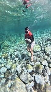 basta… | ShanghaiBoi