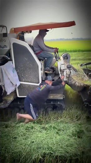 Máy Cắt Lúa Kubota DC 105X