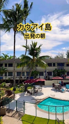 ハワイ・カウアイ島 出発前の朝のホテルで見るもの全てが名残惜しい The Kauai inn #shorts #hawaii #カウアイイン