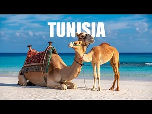 Natural Beauty of Tunisia — A Journey Through Desert & Green Landscapes