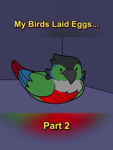 My Birds Laid Eggs... - Part 2 #us #viral | birds