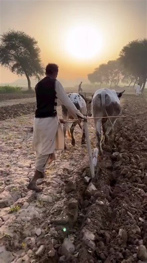 Sindhi Language Lecture: Exploring Sindhi Culture