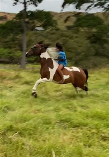 Teaching Horse Riding Lessons the Fun Way