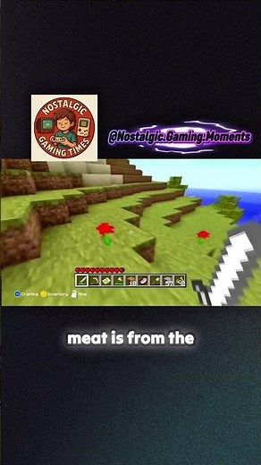 Wildcat’s Hilarious Minecraft Pig Hunt 🐷 #Minecraft #Wildcat #Throwback