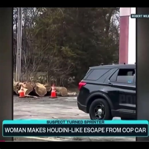 Live Cop Car Escape Caught on Camera #crime #police #courtcase