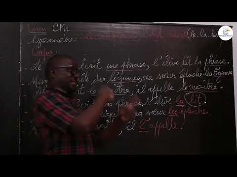 Course - CM1 - French: Grammar / The Direct Object Complement (le, la, les, l') / M. Guèye