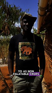 5.5K views · 178 reactions | You’ve met our Samburu crew ... now it’s...