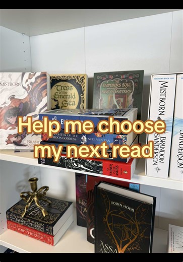 Episode 2 of the Unfinished Series Spin Challenge 📚 Kingsbane is complete, and the wheel picked my next read, but I get to start a new series 👀 Help me decide in the comments! #readingchallenge #booktok #fantasybooks #tbr #readersoftiktok