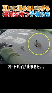 2026年6月23日