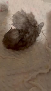 15 reactions | Allison Nicole Payne on Reels | Facebook