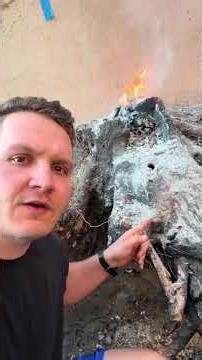 How to remove a tree stump (full process) #diy #home #tree #stump