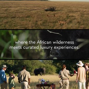 131 reactions · 13 shares | Discover Africa’s most iconic wild destinations in style with a luxury tailor-made safari by African Travel. | African Travel, Inc | Facebook