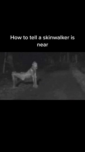 yourwitchLauren on TikTok