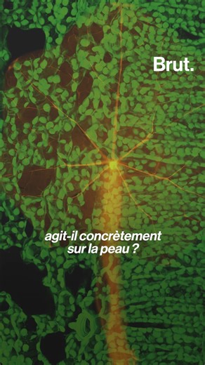 La capucine, vous l’avez sûrement déjà croisée dans un jardin. Mais ce qu’on sait moins, c’est qu’elle a des propriétés intéressantes pour la peau. Alors on a voulu savoir comment une simple fleur comme celle-ci peut devenir un actif cosmétique. | Brut