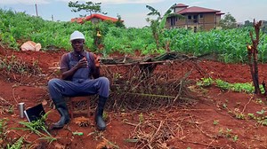 8.4K views · 211 reactions | Comment utiliser le fruit de la passion comme ombrière | Agrituto TV | Facebook