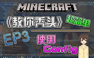 【教你秃头】使用 Config！EP3