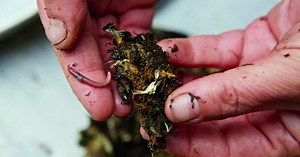 There's Not Enough "Vision" at Ground Zero