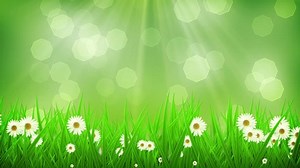 Spring Summer Background Animation Suited Broadcast Stock Footage Video (100% Royalty-free) 6192482 | Shutterstock