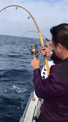 日本海でモンスター級の青物！？ロッドが折れるかと思った…（笑）