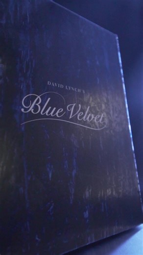 Heineken?! #bluevelvet #davidlynch
