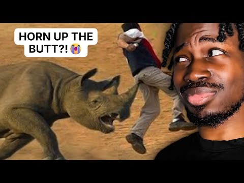 Animal CRASHOUTS That Were Caught On CAMERA...