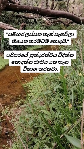 mr. virus_official on TikTok