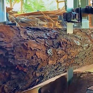 20K views · 163 reactions | Watch how an aged mahogany log is transformed into luxurious solid wood planks at the sawmill. Each cut reveals the deep color and fine texture that make mahogany a prized material for high-end furniture and craftsmanship. | Herox7 | Facebook