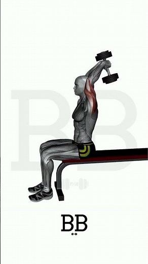 DB Seated Overhead Triceps Extension (TRICEPS): Build Massive Arm Size! 💪